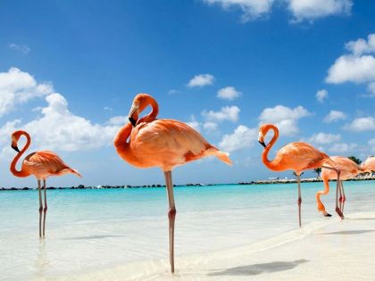 ЕКСКЛУЗИВНИ ОТСТЪПКИ - Почивка на о.Джерба, Тунис със самолет от София - 7 нощувки!